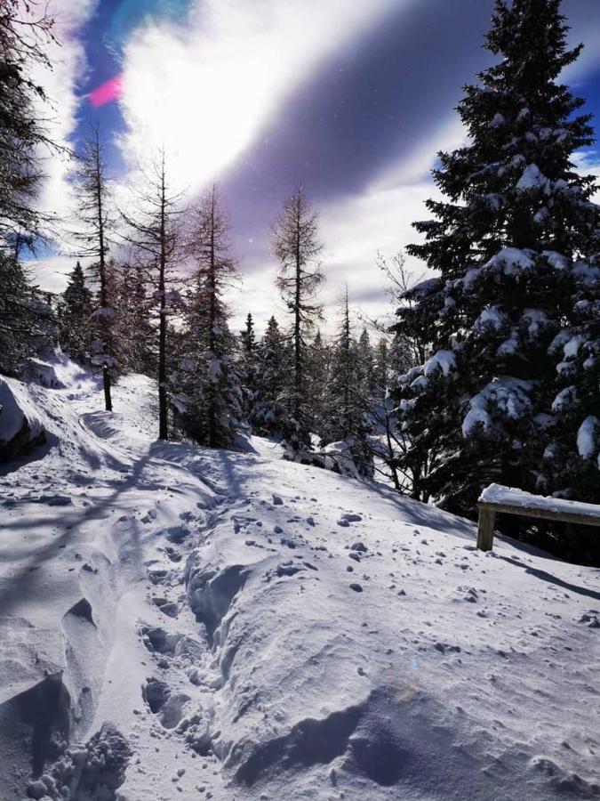 Chalet Gorenjka - Velika Planina Stahovica Ngoại thất bức ảnh