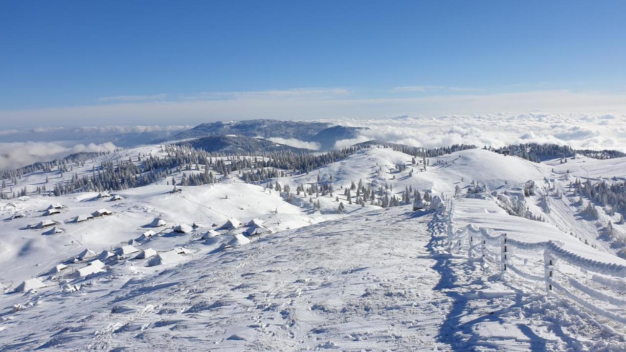 Chalet Gorenjka - Velika Planina Stahovica Ngoại thất bức ảnh