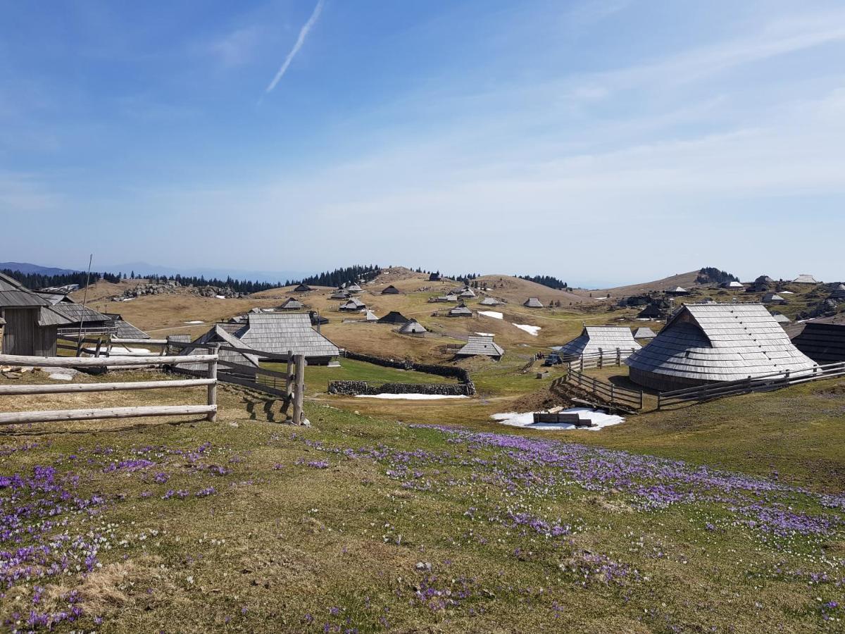 Chalet Gorenjka - Velika Planina Stahovica Ngoại thất bức ảnh