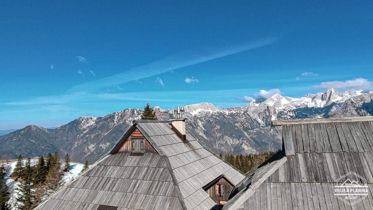 Chalet Gorenjka - Velika Planina Stahovica Ngoại thất bức ảnh