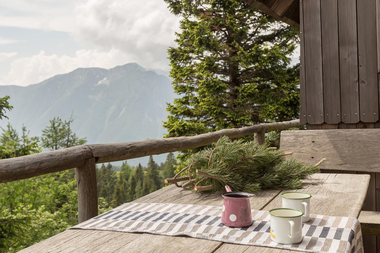 Chalet Gorenjka - Velika Planina Stahovica Ngoại thất bức ảnh