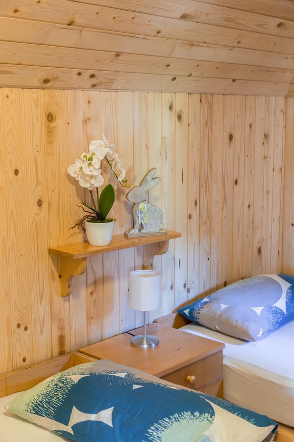 Chalet Gorenjka - Velika Planina Stahovica Ngoại thất bức ảnh